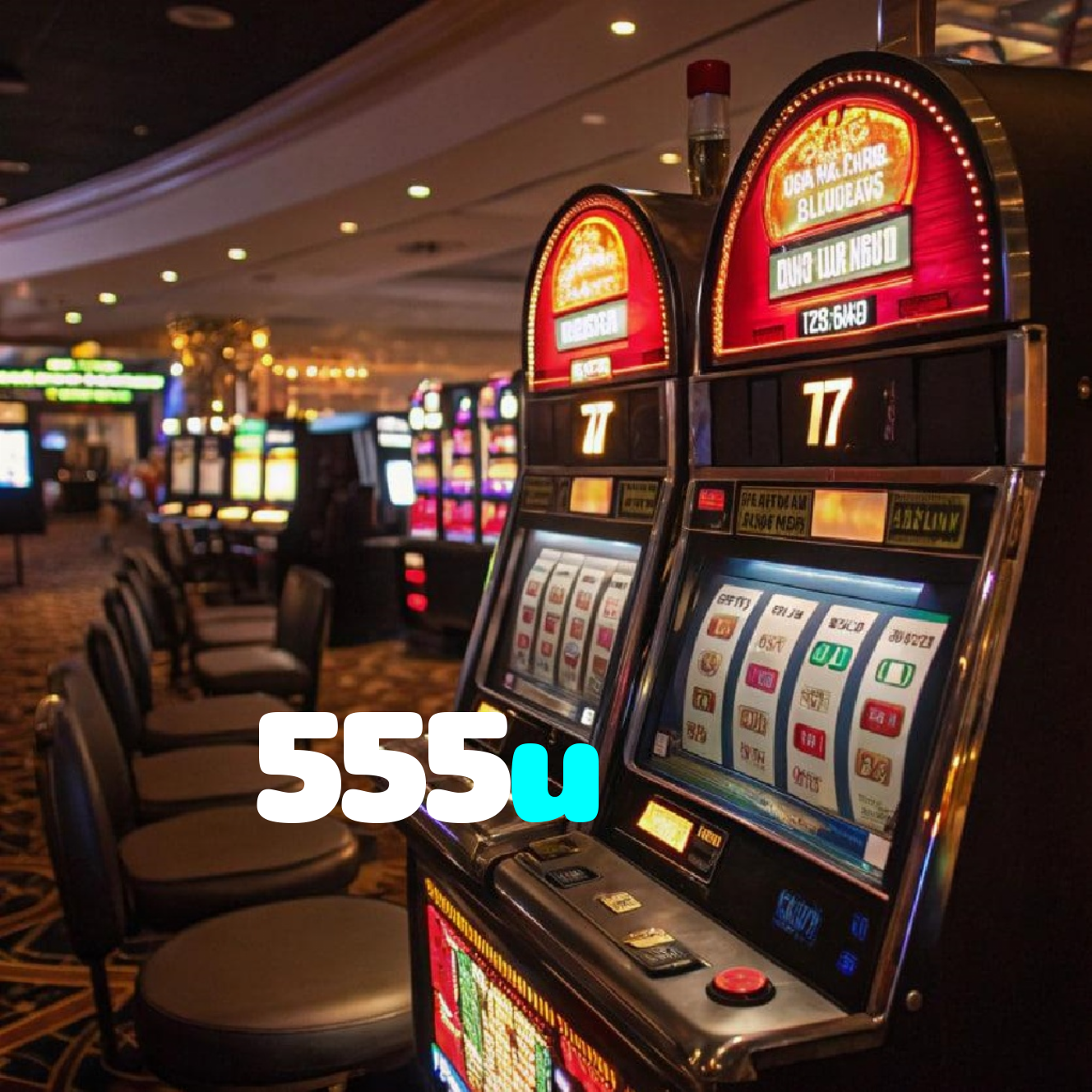 555u